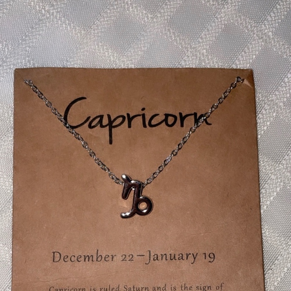 Capricorn Zodiac Necklace